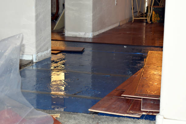 Professional Basement Water Removal technician working in West Finley, PA